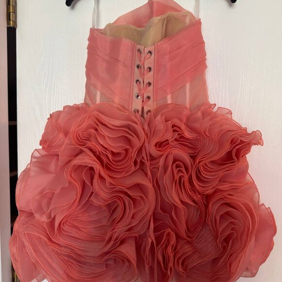 Milla, itsMilla appliquéd organza coral mini dress - Picture 8 of 11